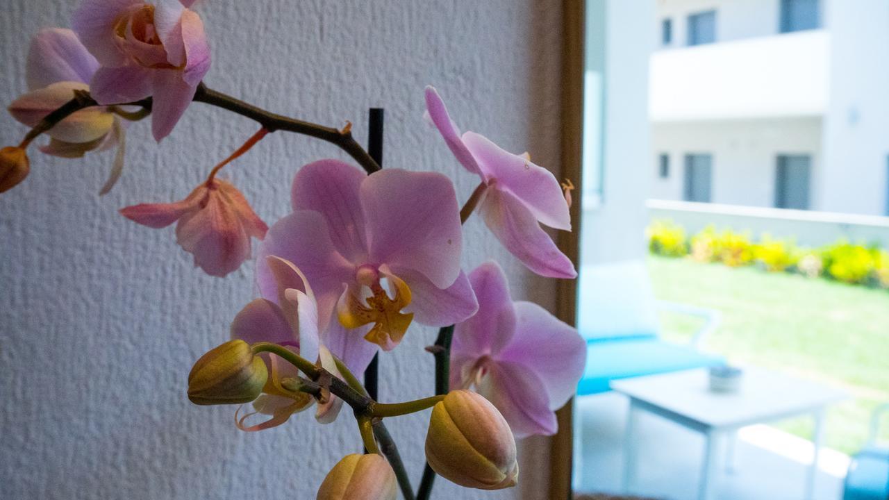 Costa Domus Blue Luxury Apartments ニキティ エクステリア 写真